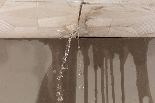 Professional Water Damage Repair technician working in Lyles, TN
